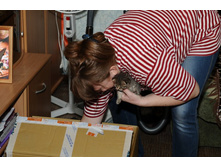 � � ������� ���������