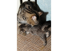 ������� ��������� � �����