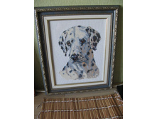 ��� ������ ������