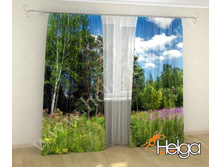 �������� ��� v2 ���.2736.jpg