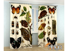 ��������� ���.3392.jpg