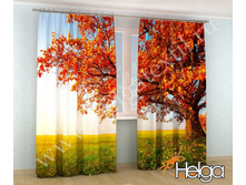 ��������� ���������� ���.3226.jpg