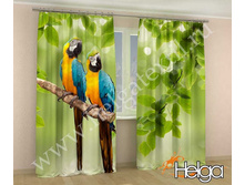 ������� v2 ���.3407.jpg