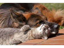 ������, ����� ���� �����[1].jpg