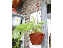 ����� ��������� � ������������� ��������  ����� 4 �.  ������������.jpg