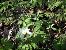 29.04.2014 10:50:24
