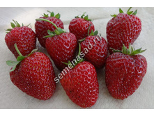 ��������� ������� ������� 42�