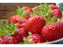 ��������� ������� ������ 49�.jpg