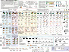 ������ �����.jpg