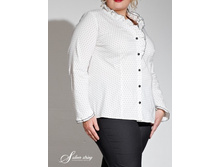 2304423 (������).jpg