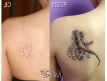 ����� 8.jpg