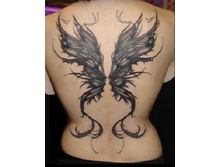 ����� 24.jpg