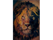 ����� 33.jpg