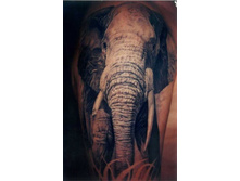 ����� 34.jpg