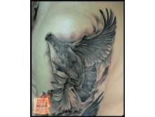 ����� 52.jpg