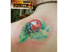 ����� 57.jpg