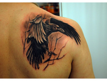 ����� 117.jpg