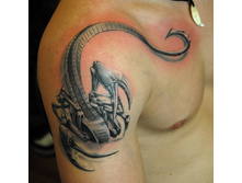 ����� 126.jpg