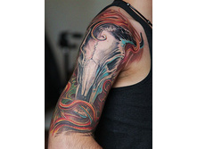 ����� 185.jpg