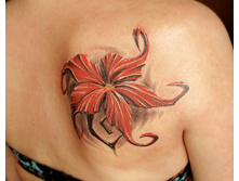 ����� 216.jpg