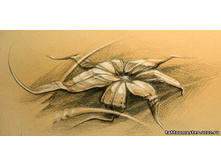 ����� 224.jpg