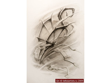 ����� 229.jpg