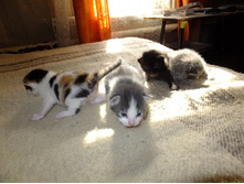 DSCF4707.JPG