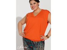 2454088 (������).jpg