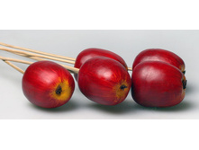 ������ ������.jpg