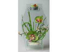 ������� ����������1.jpg