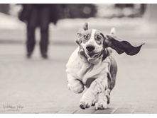 15 - �����.jpg