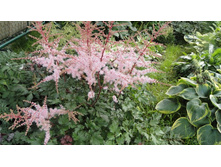 ��������   ������ ���� 