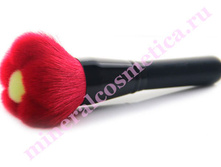 ����� ������ �������.jpg