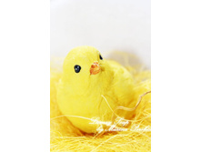 ����� ����������� \"��������\".  ������� 7*5*6 ��  ��������� ��� ���� 60 �����  ���� ����� 400 ��� (������� �����), 500 ��� (������� ���)