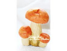 ����� ����������� \"������� �������\"  ������ 9��, ������ 7 ��.  ��������� ��� ���� 100�����  ���� ����� 400 ��� (������� �����), 500 ��� (������� ���)