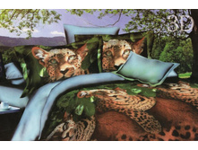 FDJ 3D ���������� ����� ���� 37.jpg