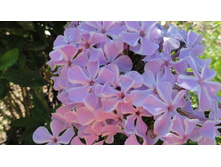 ����� �� �� ���