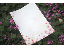 ������ - 006 (10 ��.)  88�..jpg