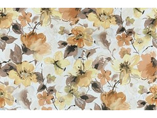 �������� 01.jpg