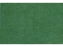 ���� ���� 177.jpg