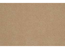 ���� ���� 312.jpg