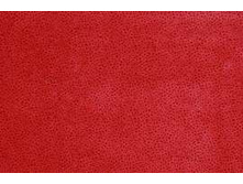 ���� ���� 420.jpg