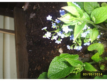 �������� �������������