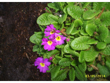 �������