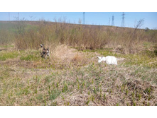 2014-05-03 12-02-02.JPG