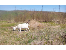 2014-05-03 12-02-06.JPG