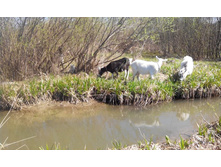 2014-05-03 12-03-28.JPG