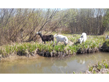 2014-05-03 12-03-38.JPG