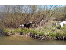 2014-05-03 12-05-19.JPG