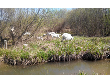 2014-05-03 12-05-39.JPG